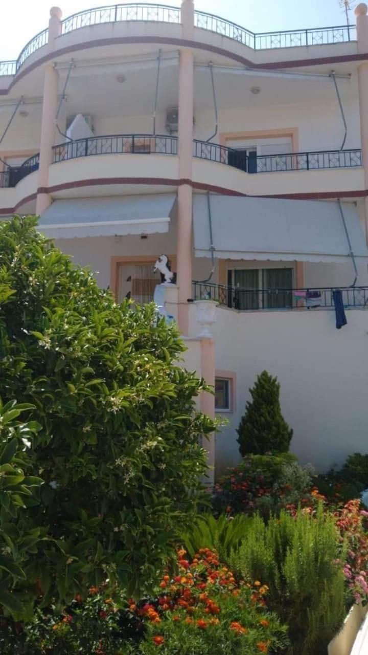 Apartments Rudi Orikum Dış mekan fotoğraf